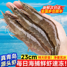 �������r�������u���r�����׌��r�}�����r���؟o���r���ك�����