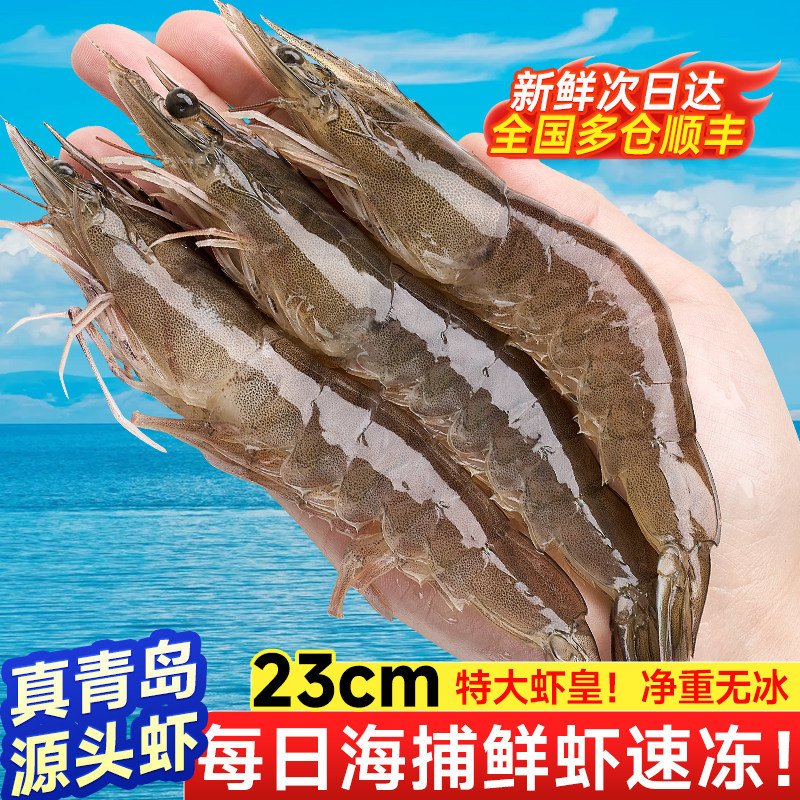 【当日鲜捕】青岛大虾南美白对虾盐冻大海虾净重无冰鲜活速冻商用