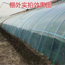 大棚无滴PO膜蔬菜花卉草莓葡萄温室透明消雾保温防雨塑料布