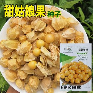 �������S����N�� �{�� �S����N�� Ƥ�������ȸ� �߲�ˮ���N��