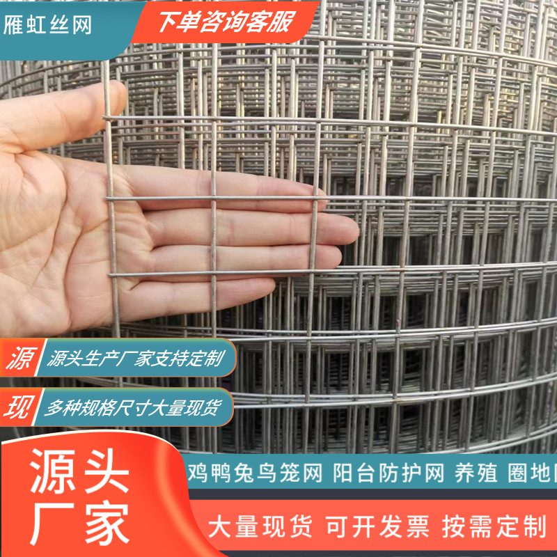 304不锈钢电焊网 不锈钢过滤筛网 养殖防护网 围栏网厂家现货