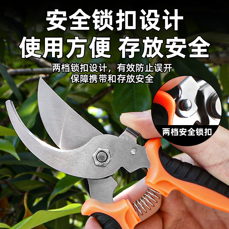 Household Pruning Shears Special Shears for Fruit Trees Flowers Garden Shears Stainless Steel Shears Branch Greening Grafting Garden Scissors 3