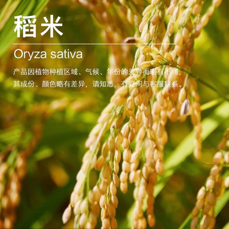 ���ҹ�Ӧ������ �����߿���ȡ  �����ͳ�������  ��ӭ�ɹ�