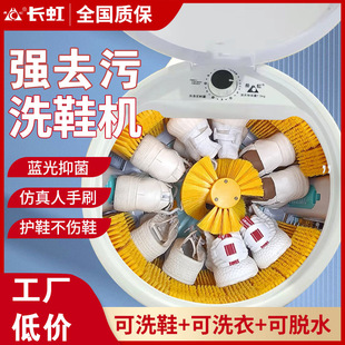 German Shoe Washing Machine, Household Small Automatic Shoe Brushing Machine, Special All-In-One Machine for Washing Shoes, Mini Laundry and Sock Washing Machine