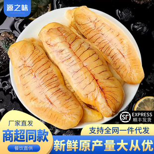 �S���~���r���~���~���~���~���~���~�s���r�~������������l