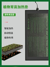 ֲӟ||늟̺҃ȶ⻨؜