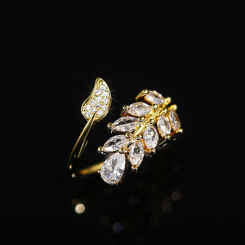 Särav tsirkooniga leherõngas naistele reguleeritav_voghion.com