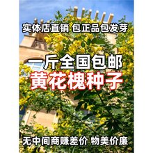 ���l�S�����N�� �S���Q�� ���P�䶹����ș��N�����󃞻ݸ߳�ѿ��