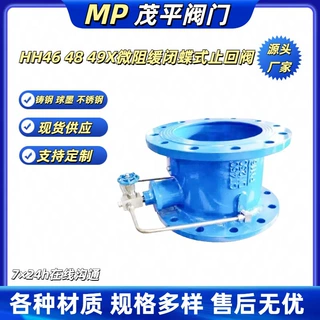 DN800铸钢HH49X-16C微阻缓闭蝶式止回阀WCB源头工厂价格实惠