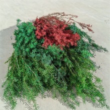 ǧ�ӽ������� ����~�м����~�������A�~��