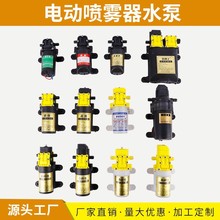 鑫超劲/雨露 微型电动隔膜泵 电动喷雾器大流量12V水泵洗车机水泵