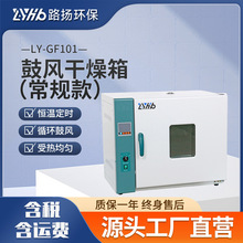 LY-GF101系列卧式电热鼓风干燥箱常规款 路扬环保 实验室干燥箱