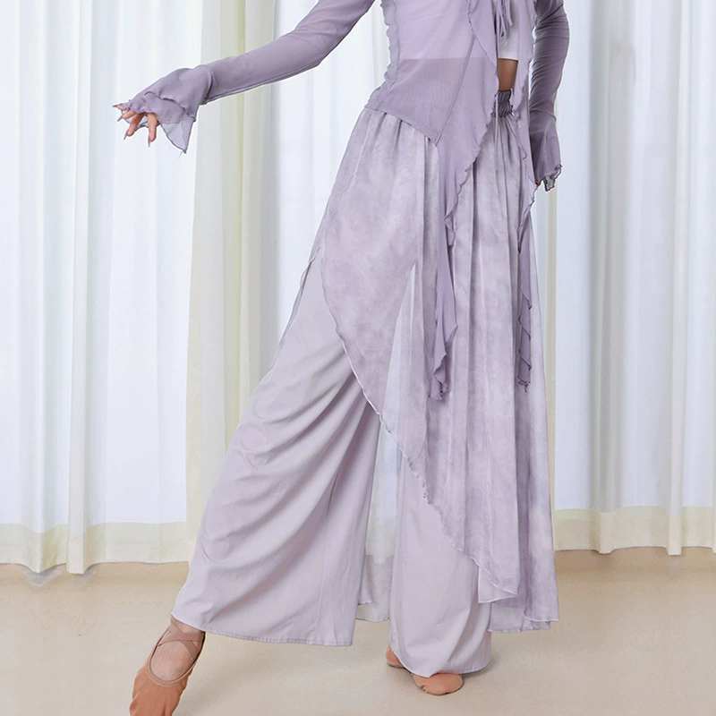 Танцевальные брюки женские современные танцы осенние новые взрослые тонкие, свободные, широкие ноги, элегантные классические танцы учителя практики брюки