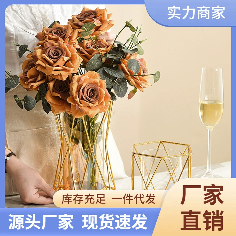 Изящная ваза из железного стекла с гальваническим покрытием для гидропоники, декор для дома, столовой, рабочего стола, гостиной, для зеленых растений, шестиугольная ваза