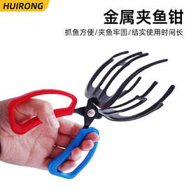 金属夹鱼钳两齿三齿垂钓夹鱼器钓鱼夹子野钓抓鱼控鱼钳配件厂家