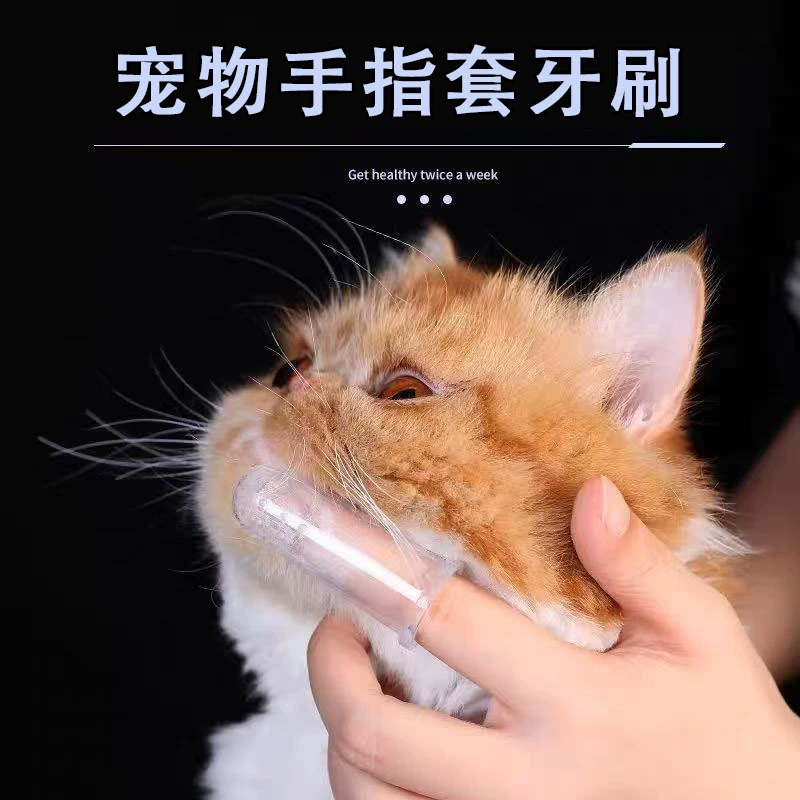 Собака Мойка Зубная щетка Домашние животные удалите зубной камень