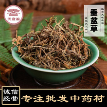 ����� ���l��ș�ĸ�؛ʯָ�� ��ײ� �a�ش�؛����ă� Ʒ�Nȫ