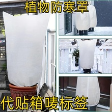 ����Ӻ�ֲ������� ����ֲ�ﱣ�o�ַ������x���L��ů ������