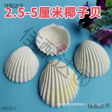 ?��Ȼ��ɫؐ��DIY�ֹ������T�f�N�����������Ĵ����ؐ