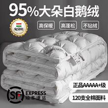 匈牙利羽绒被95白鹅绒五星级酒店鹅绒被冬季被子被芯春秋加厚