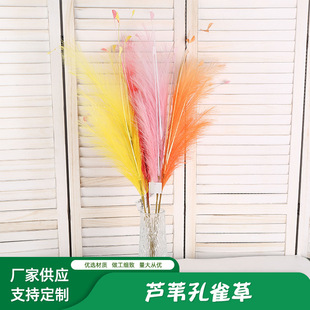 ��Y�b��柟����ɫ��ȸ���҃Ȳ��üٻ��w���һ�����l����