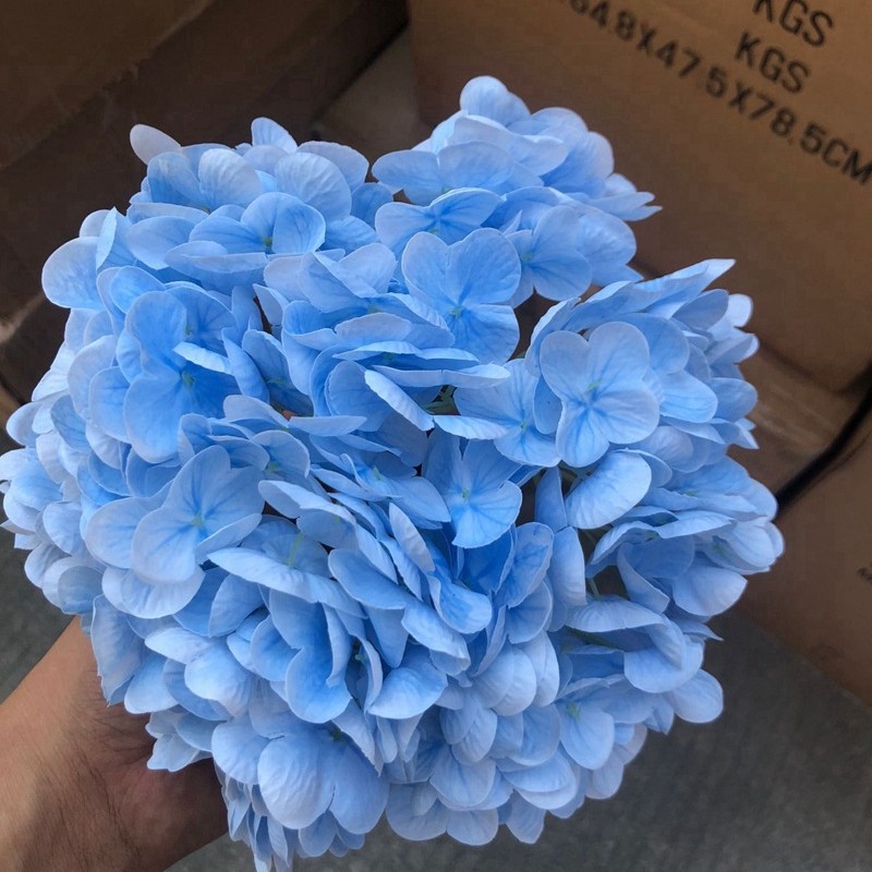 Bleu clair