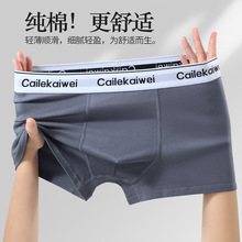 男士内裤男纯棉抗菌平角裤青年全棉质透气四角裤头男生大码短裤衩