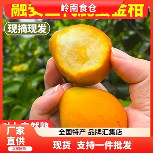 ��S���]�ڰ����۽�̏V�����ڵ��������۽���ش�����rˮ������