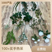 白绿色系婚庆仿真花 森系韩式白色婚礼假花装饰绿植叶子牛油果绿