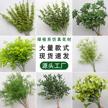 ��֦�Gֲ���~ֲ��Ꭷ�~��ɭϵ��Y·���廨���ՔzӰ�[�Ļ�ˇ