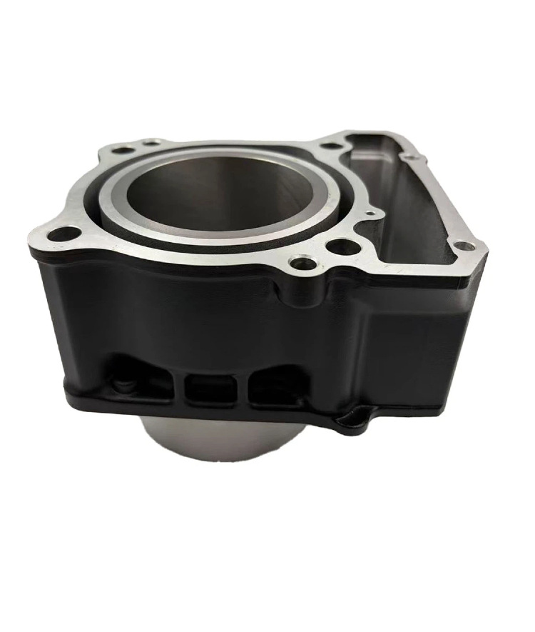 Cross-Border Applicable Parts for Cfmoto Cf250Nk/Cf250-A/250Sr Cylinder Assembly, Middle Cylinder Manufacturer, Automotive and Motorcycle Parts