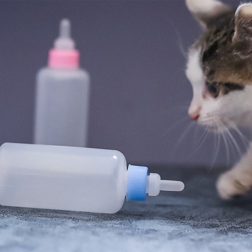Pet Supplies Cat Bottles Kitten Bottles Kitten Newborn Pets Puppy Feeders Cat Supplies Pet Pacifiers