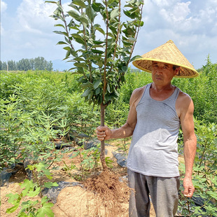 ���´����Ә����ش�����޽����A�����S���ο������ϱ����Nֲ����