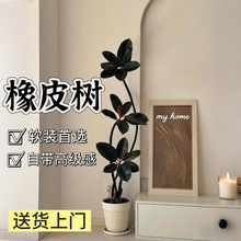 ڽƤ͏d҃ȴ;GֲBՇй˾ֲ̨