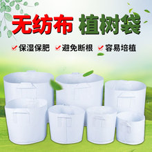 无纺布美植袋种植袋育苗营养袋加高加厚款白黑色苗圃植树种植袋