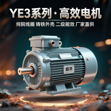 6极YE3-180L-6-15kw二级能效三相异步电动马达