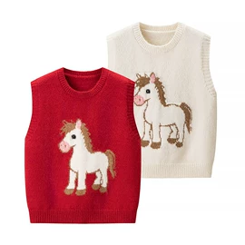 女式针织衫;毛衣;女式马甲