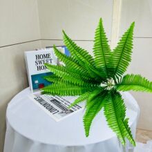 ɭϵ����ާW�t���߿羳�Gֲ�Ҿ��b�18�沨˹�~ާ�~