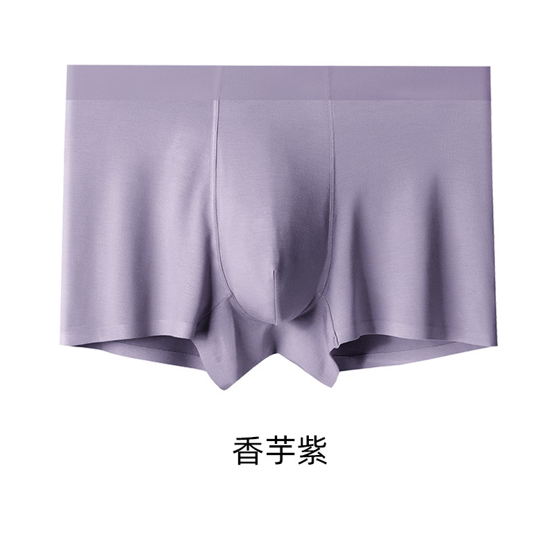 퍼플 타로