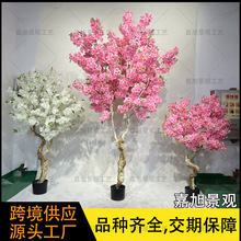 �����ɫ�ѻ��� �҃�����٘��b����� �Ƶꙻ���̈�����������