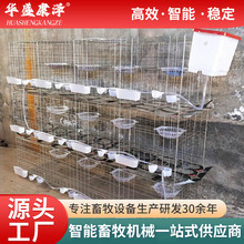 ���\�Ӵ����\������\�B�\�����\�r�����ӻ\�Bֳ�û\�������\�B�\