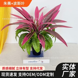 �羳���R�d���N�����콶�~��Ѫ�t�F�䲨˹�~�����Gֲ�廨�쾰ֲ��