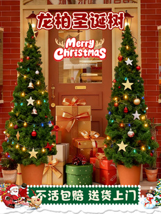 �ɰؘ����}�Q����Gֲ���ر�����ɴ��͑���ͥԺ���B�Ȱ��ļ����l