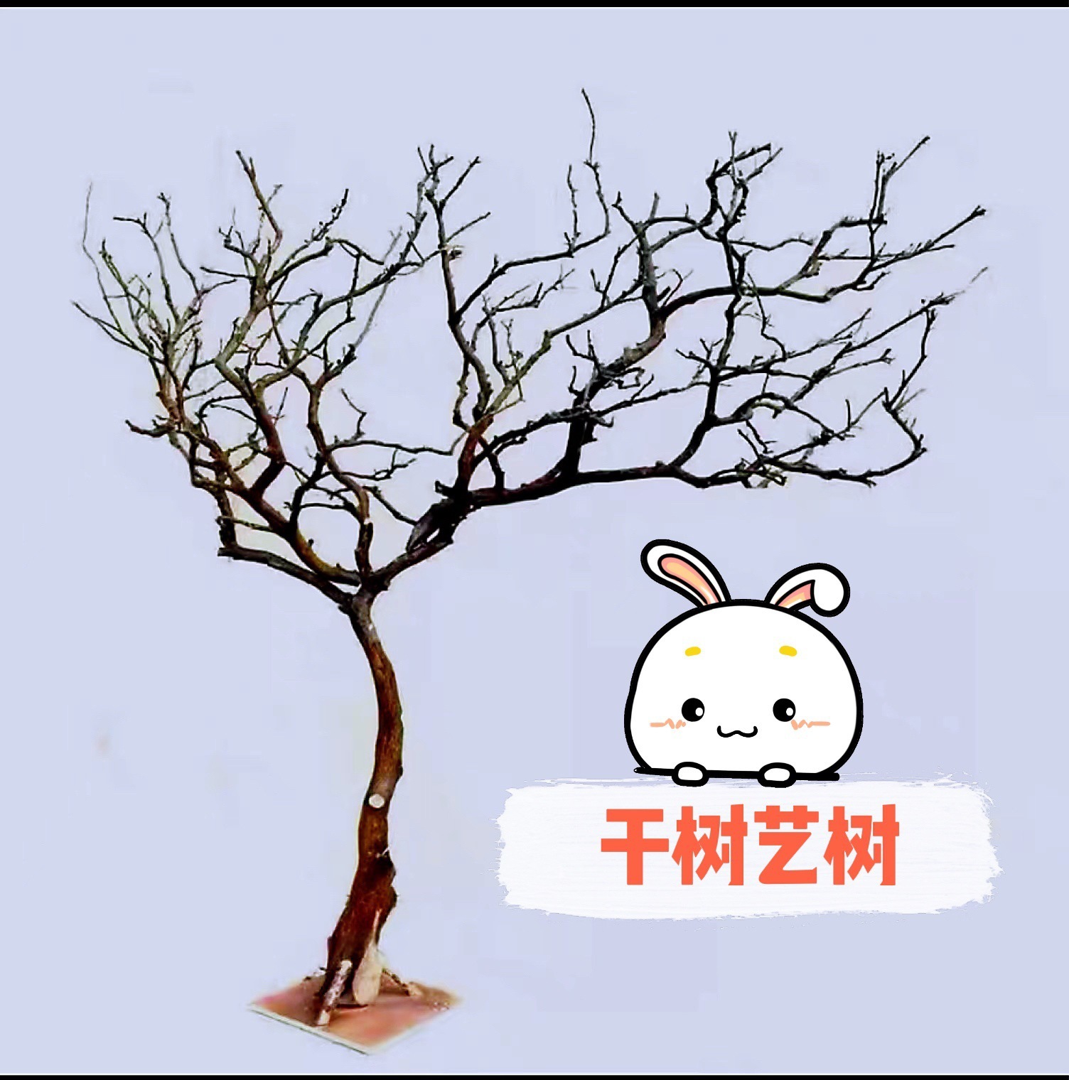 White dry branches landscape deadwood tree wish tree dead tree indoor decoration branches trunk raw wood branches decoration tree