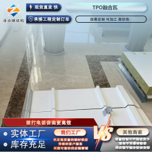 TPO�ں��ߌ�����X�\䓰� �ͺ򿹸�0.4&ndash;1.2mmҎ���Rȫ �ɼӹ�