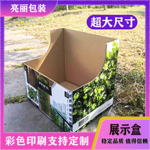 �x��20�꼈���S��Ӳչʾ�����㼈���ӡpdqչʾ���f �ӯB�ж���
