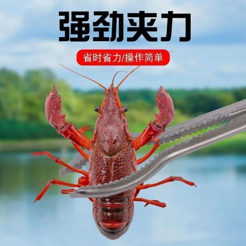 New Galvanized Eel Clip, Anti-Slip, Anti-Garbage Picking Clip, Loach Clip, Outdoor Cleaning Tool