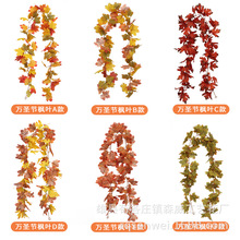 ?f}ɫ~ٗl }QٗlbҾӱڒ~ٗl