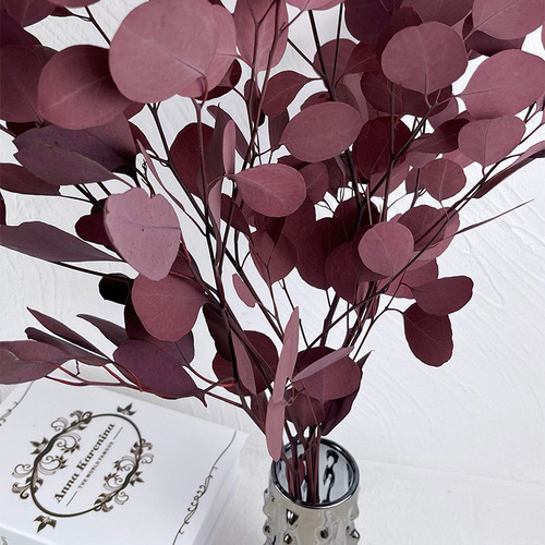 Everlasting Apple Eucalyptus Round Leaf Lemon Scented Gum Real Flower Indoor Decoration Ornament Nordic Style Yunnan Everlasting Flower