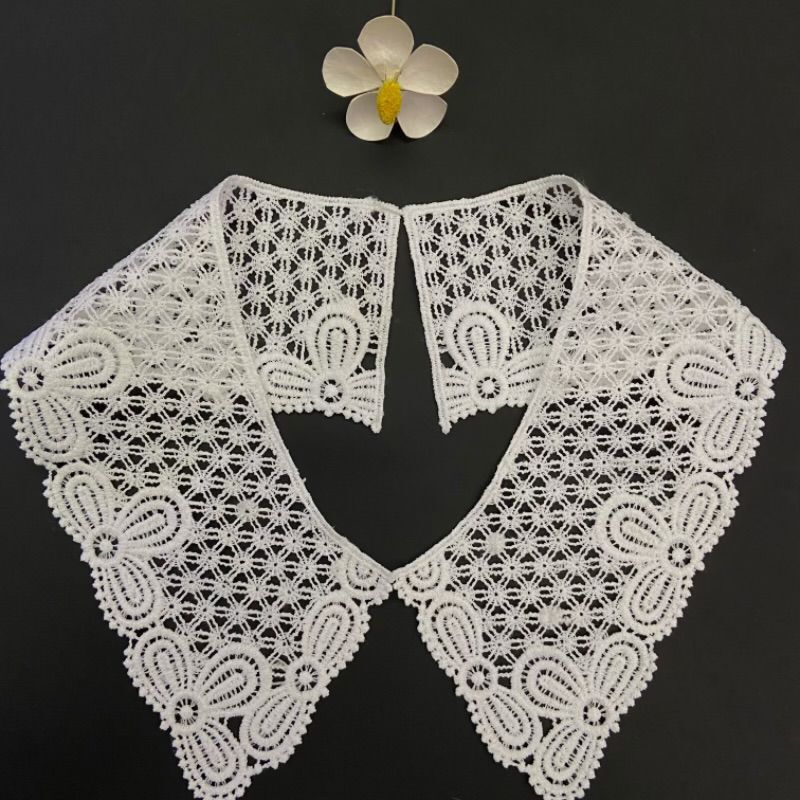 QQ图片20230113212829